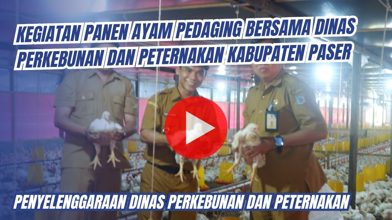 pembangunan_(23)